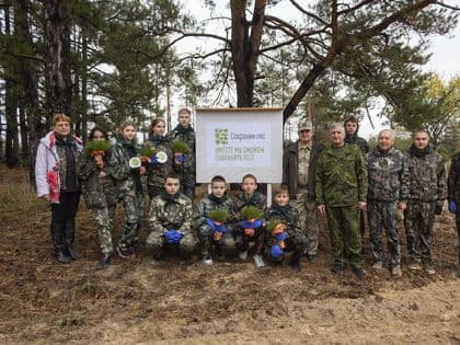 Лесники и школьники Станицы Луганской начали высадку саженцев сосны в Песчаном лесничестве