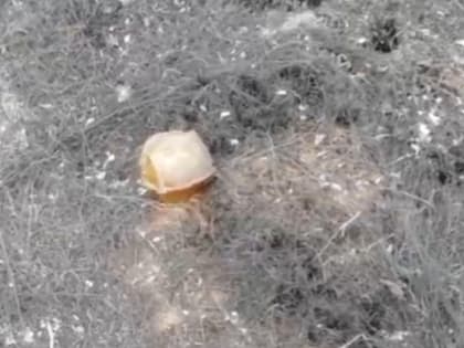 Травма ребенка в Кременной: медики срочно доставили девочку в федеральное учреждение