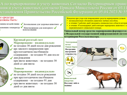 Управление в условиях нестабильности