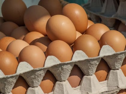 Власти ЛНР заключили с производителями и ретейлерами соглашения о стабилизации цен на яйца - Федеральная антимонопольная