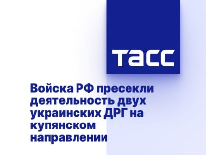 Войска РФ пресекли деятельность двух украинских ДРГ на купянском направлении