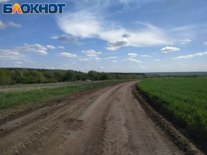 Благодаря освоению «серых зон» в ЛНР увеличили посевную площадь