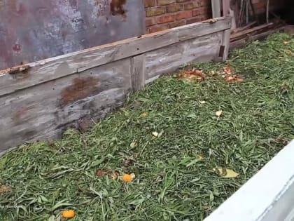 В Луганской Народной Республике правоохранителями изъято более 10 кг конопли у местного жителя