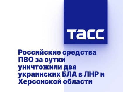 Российские средства ПВО за сутки уничтожили два украинских БЛА в ЛНР и Херсонской области