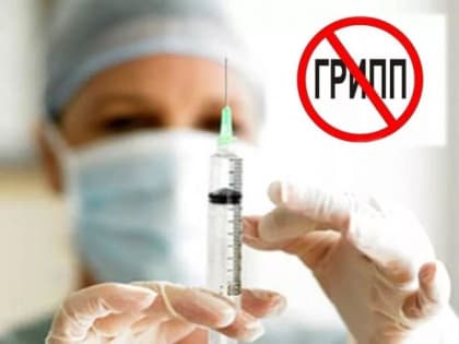 В Республике сделали прививку от гриппа почти 210 тысяч человек, из них - более 51 тысячи детей, сообщили в управлении Р