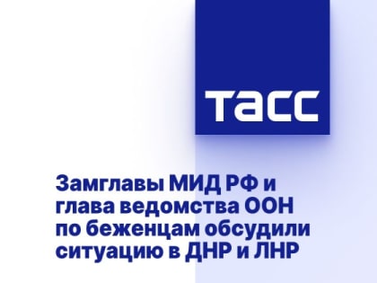 Замглавы МИД РФ и глава ведомства ООН по беженцам обсудили ситуацию в ДНР и ЛНР