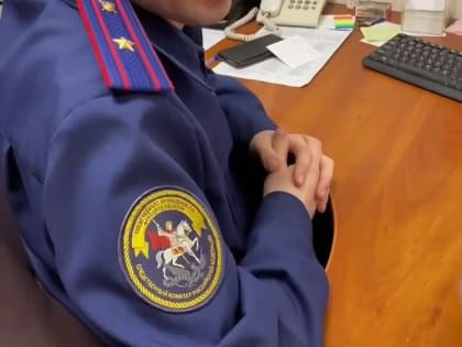 В Брянске задержана 22-летняя жительница Москвы по подозрению в надругательстве над Государственным гербом Российской Фе