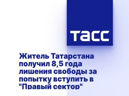 Житель Татарстана получил 8,5 года лишения свободы за попытку вступить в "Правый сектор"