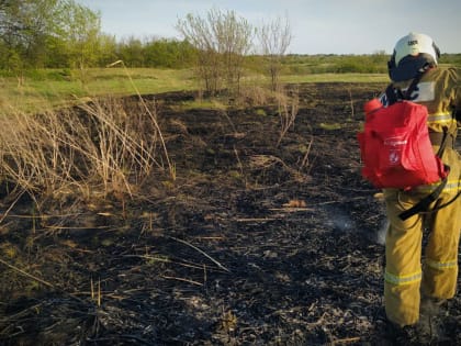 Высокая пожарная опасность объявлена в ЛНР на 17 апреля