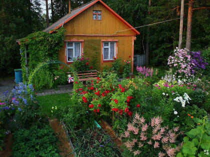 О регистрации прав на индивидуальные жилые дома  в рамках «дачной амнистии»