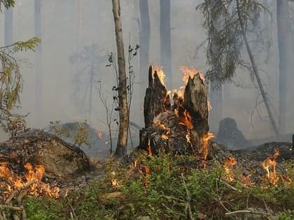 Высокая пожарная опасность ожидается 26 июля в восточных районах Республики