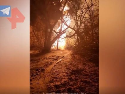 В ЛНР назвали задачи по ликвидации последствий взрыва на газопроводе