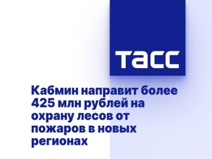 Кабмин направит более 425 млн рублей на охрану лесов от пожаров в новых регионах