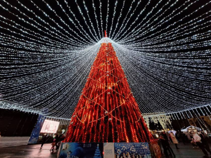 Поздравление Яны Пащенко с Рождественским сочельником