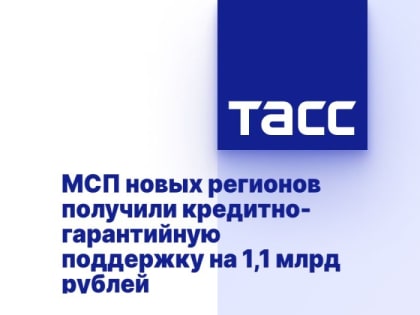 МСП новых регионов получили кредитно-гарантийную поддержку на 1,1 млрд рублей