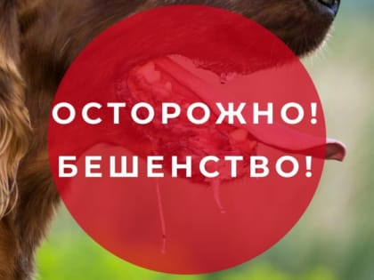 Осторожно бешенство!