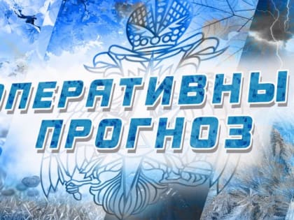 ОПЕРАТИВНЫЙ ЕЖЕДНЕВНЫЙ ПРОГНОЗ