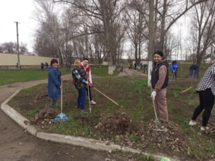 Чистая Республика