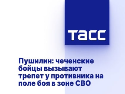 Пушилин: чеченские бойцы вызывают трепет у противника на поле боя в зоне СВО