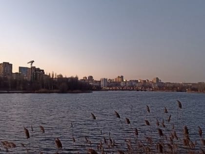В РФ появится Содружество Донбасса