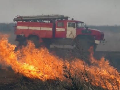 В выходные в ЛНР зафиксировали 75 сухотравных пожаров