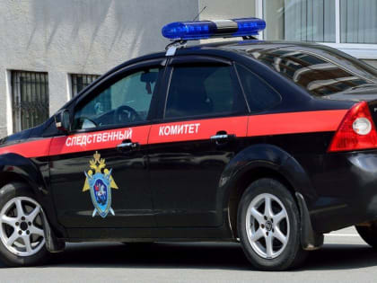 В Луганске организована проверка по информации СМИ о нападении на ребенка бродячей собаки