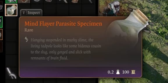 image-20230825011127487