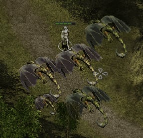 image-20200309120202298