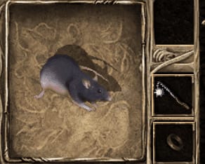 image-20200504151213810