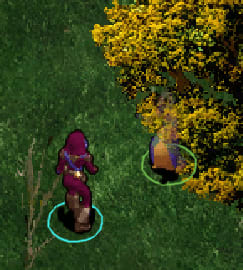 image-20200509220211604