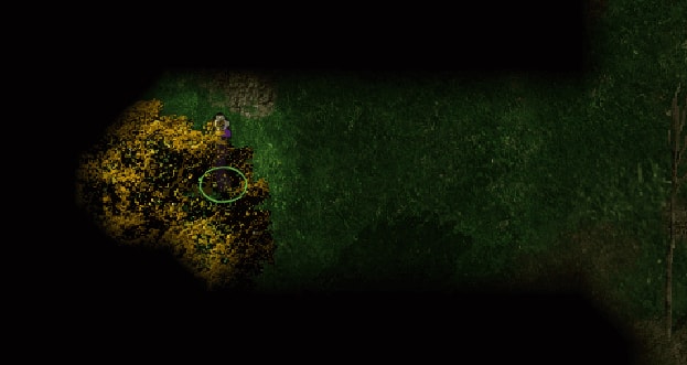 image-20200510165043578