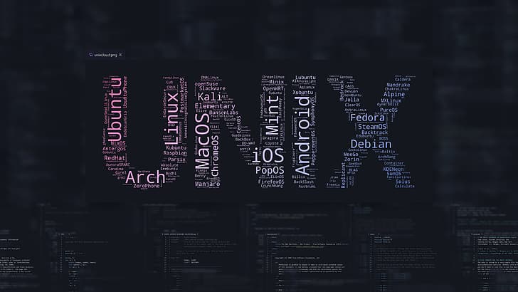 Unix: The Developer's Secret Weapon for Excellence