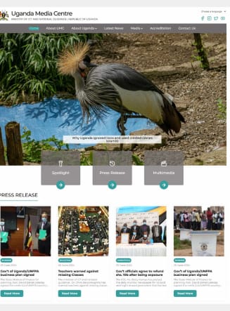 UI/UX design, product interface in progress