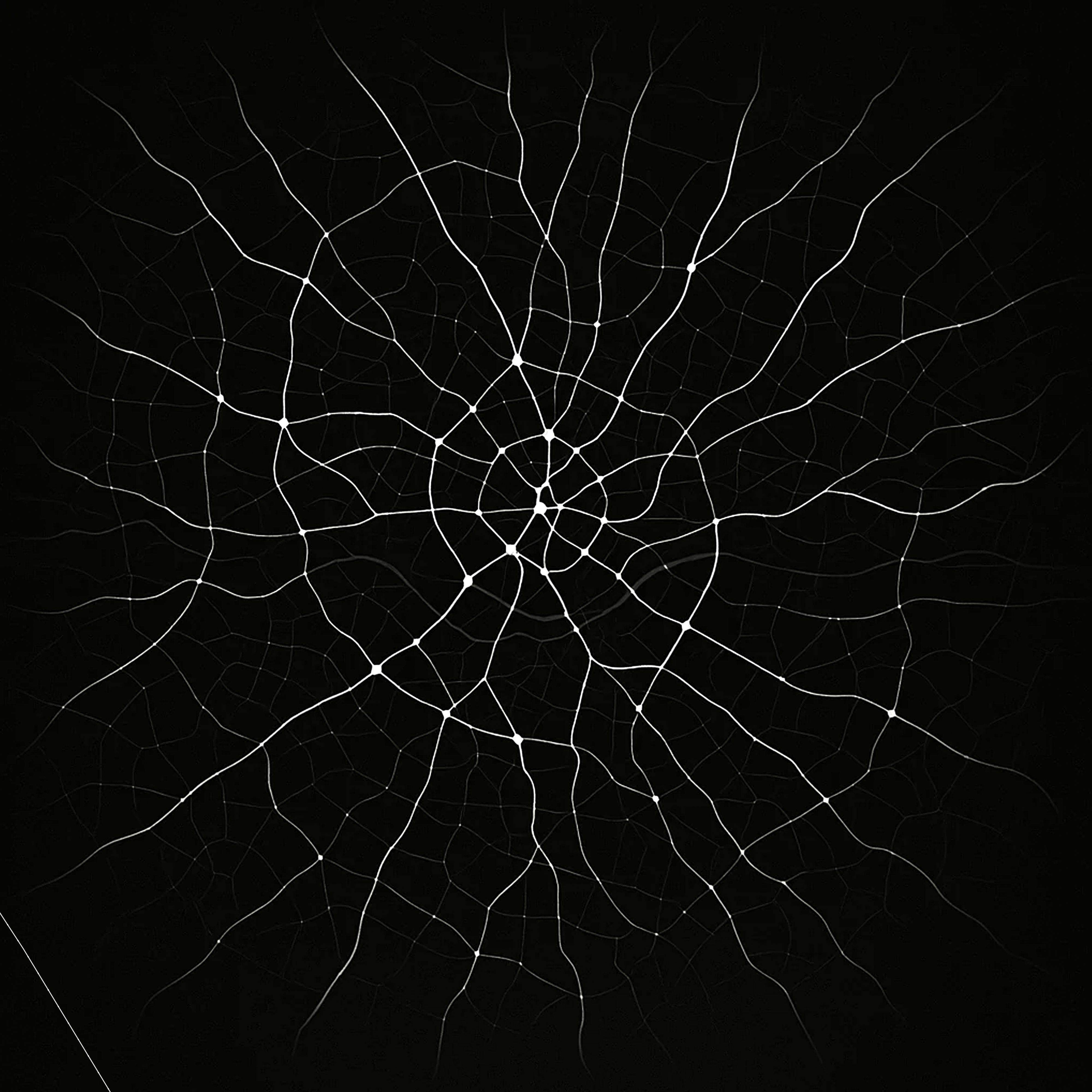 Krakow Map Background