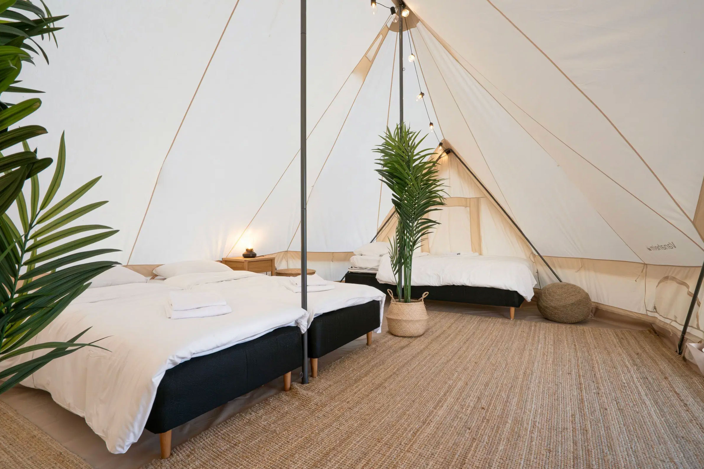 Glamping at Startup Village