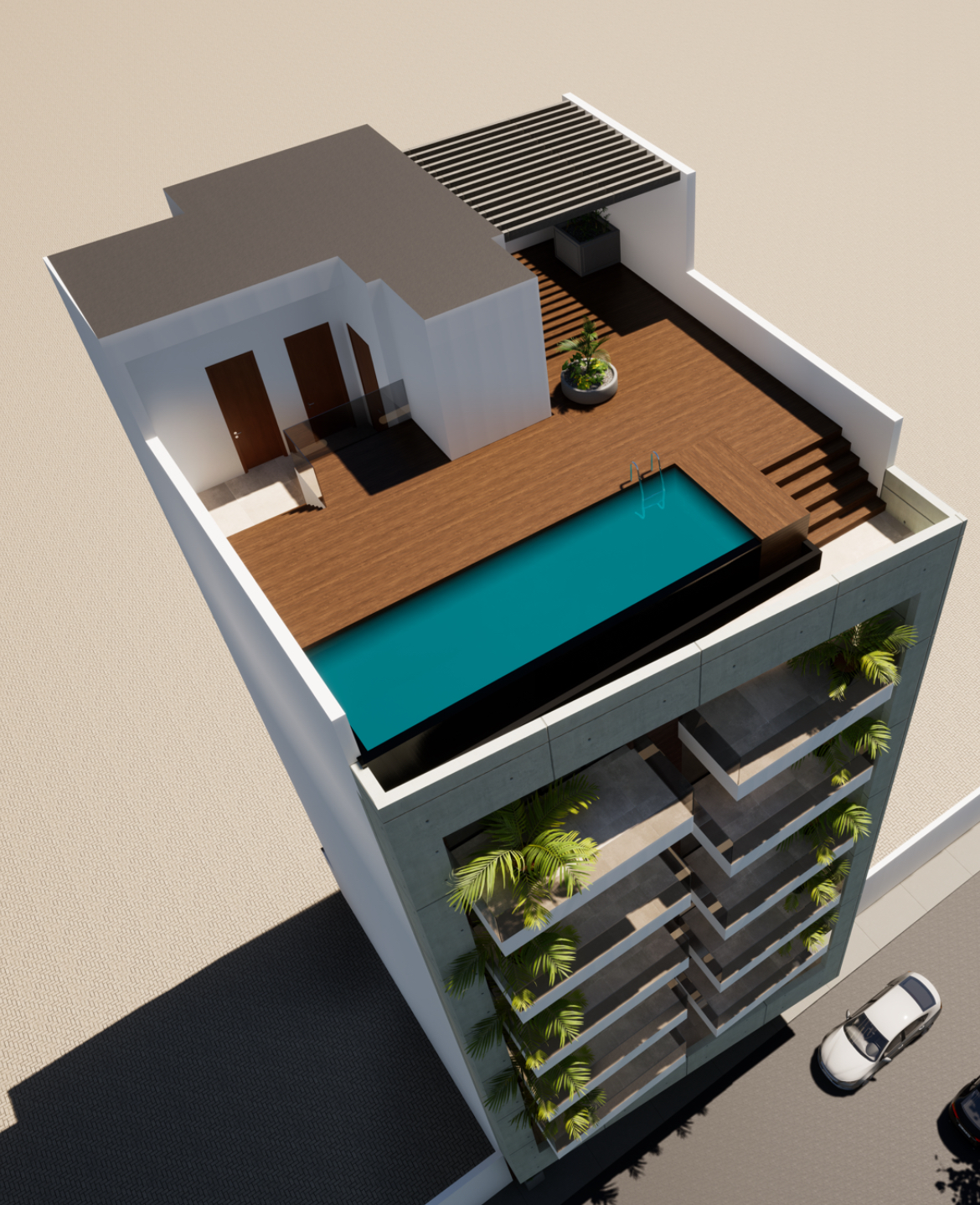 Projet ALMADIES — visuel 4