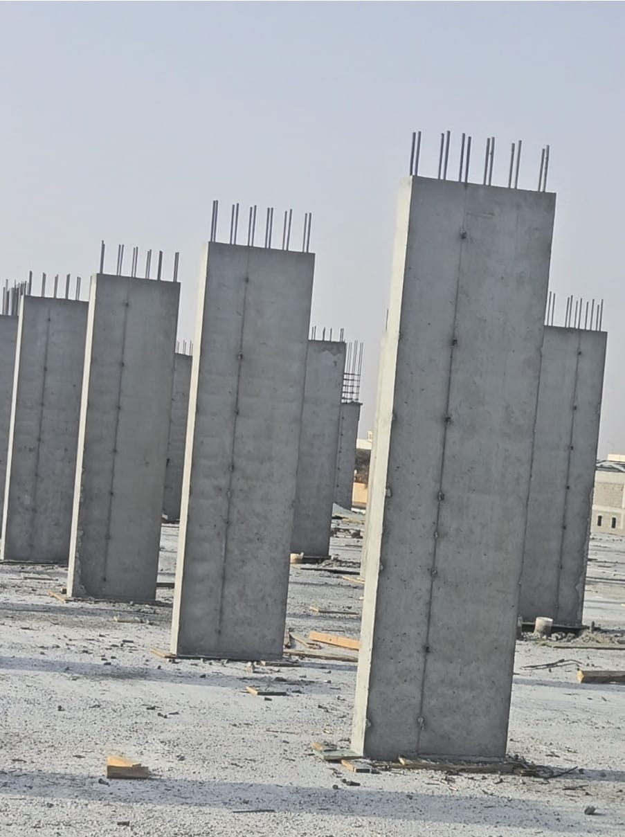 Reinforced concrete column project view