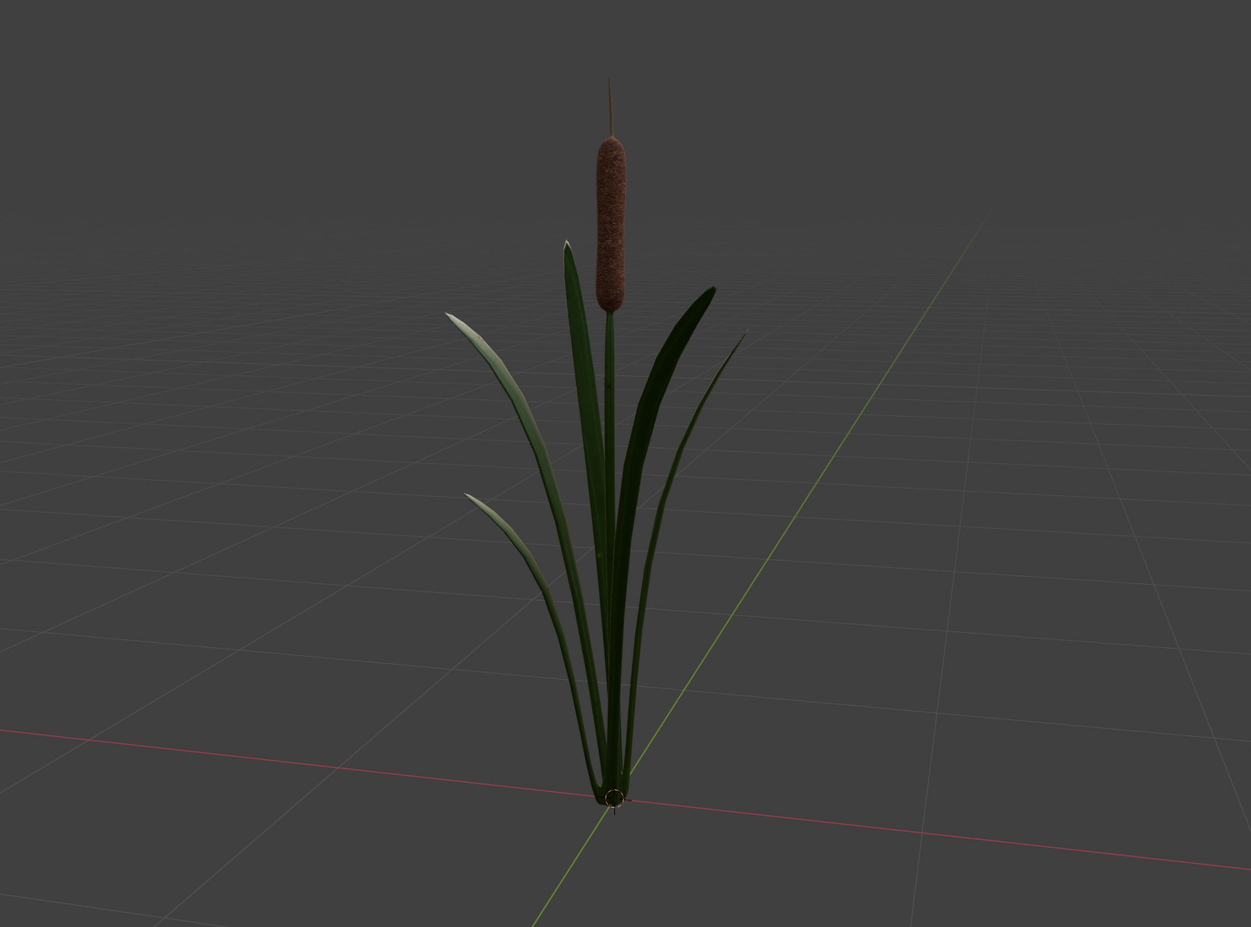 A 3D model of a cattail plant.