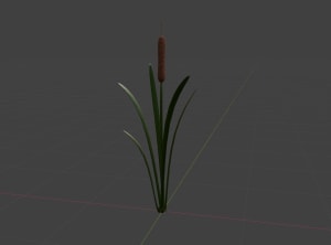 A 3D model of a cattail plant.