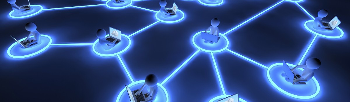 About us » Network Strategies