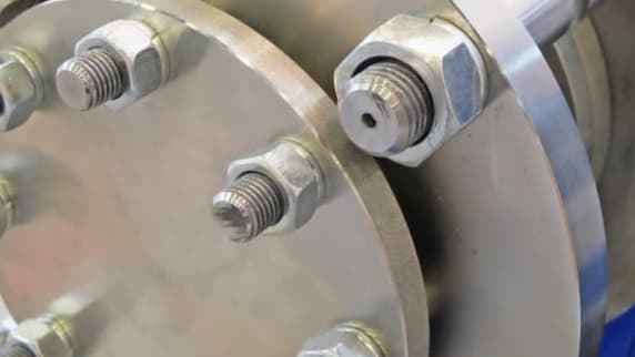 Bolt and nut on gasket