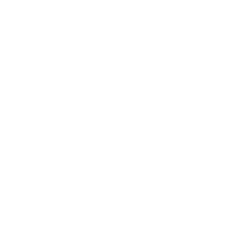 National Security & Defense icon