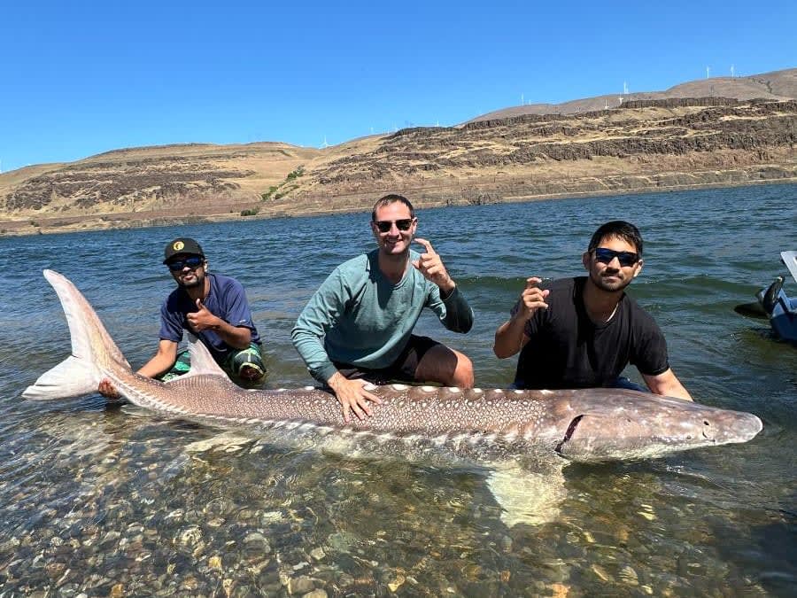 White Sturgeon Trip
