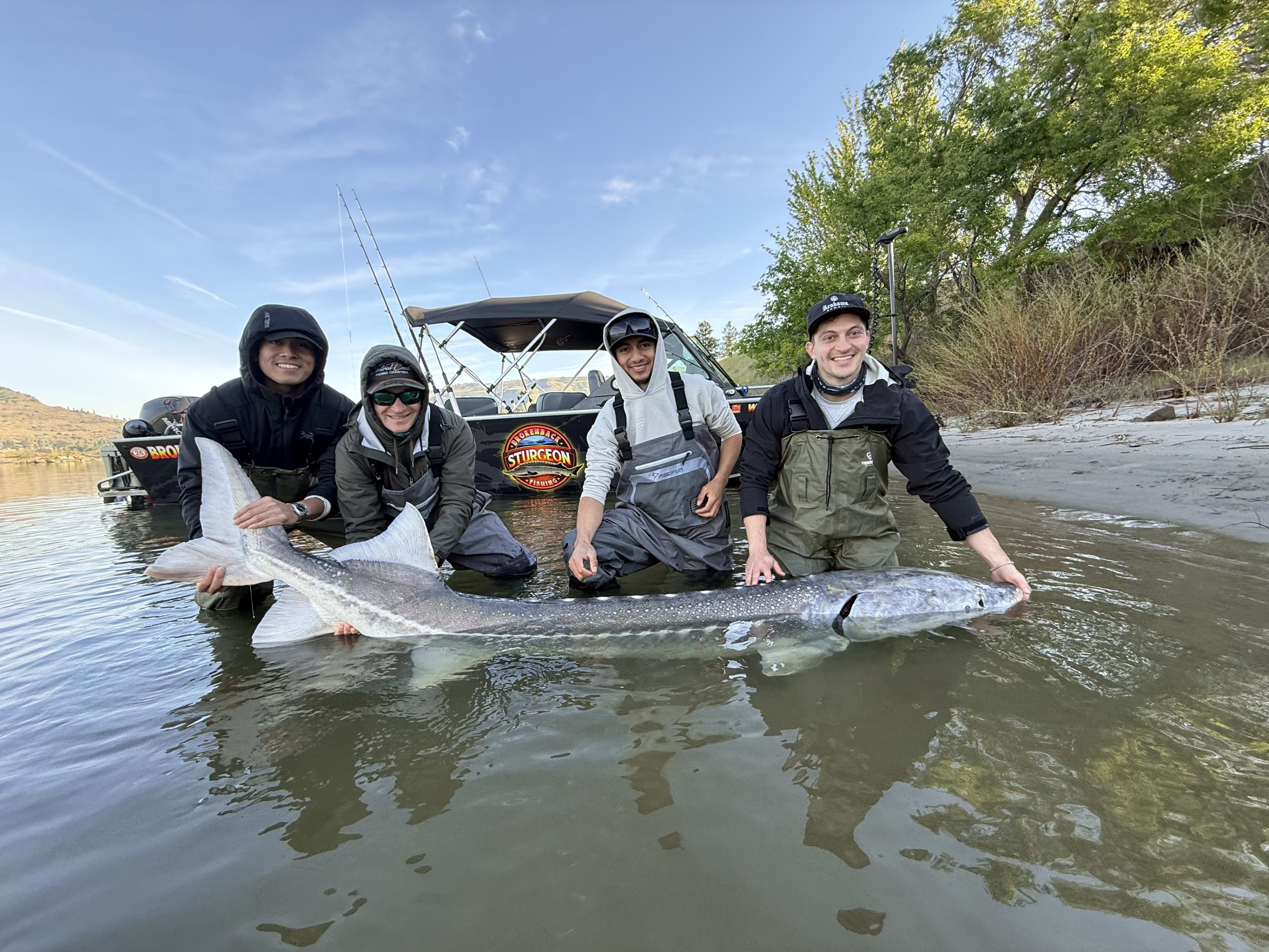 Guided White Sturgeon Trip
