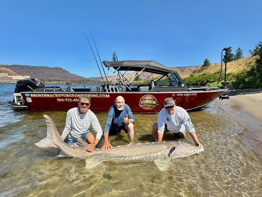 White Sturgeon Trip