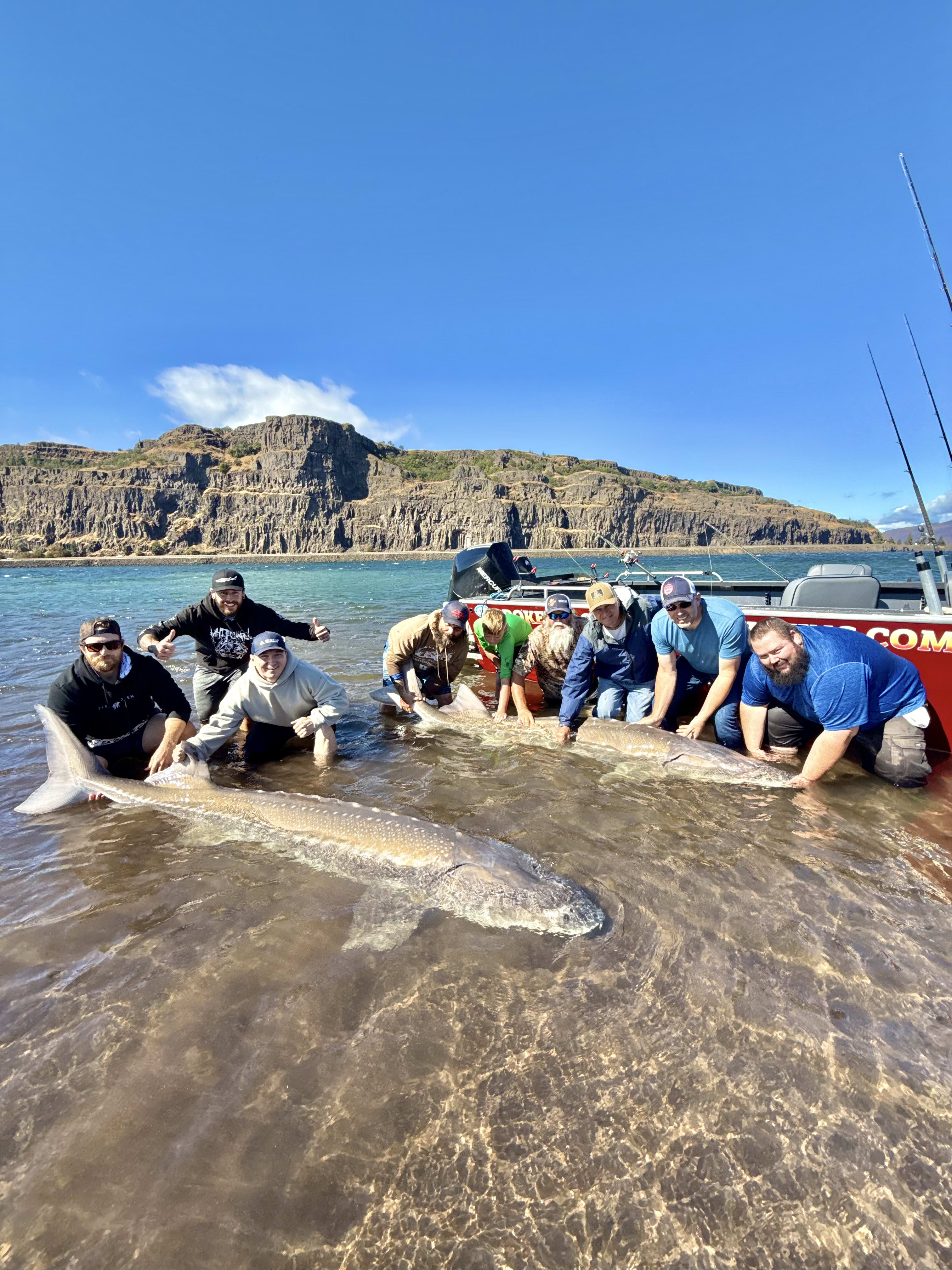 White Sturgeon Trip