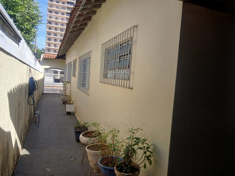 Rua Augusto Pereira de Moraes,749 - Jardim Primavera