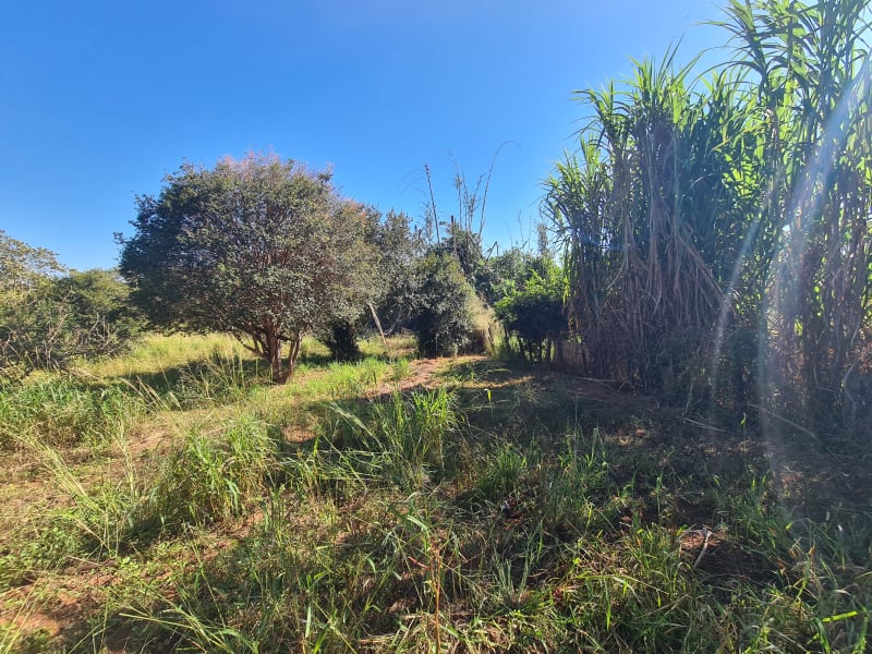 Avenida Adolpho Hecht,1781 - Vila das Fábricas