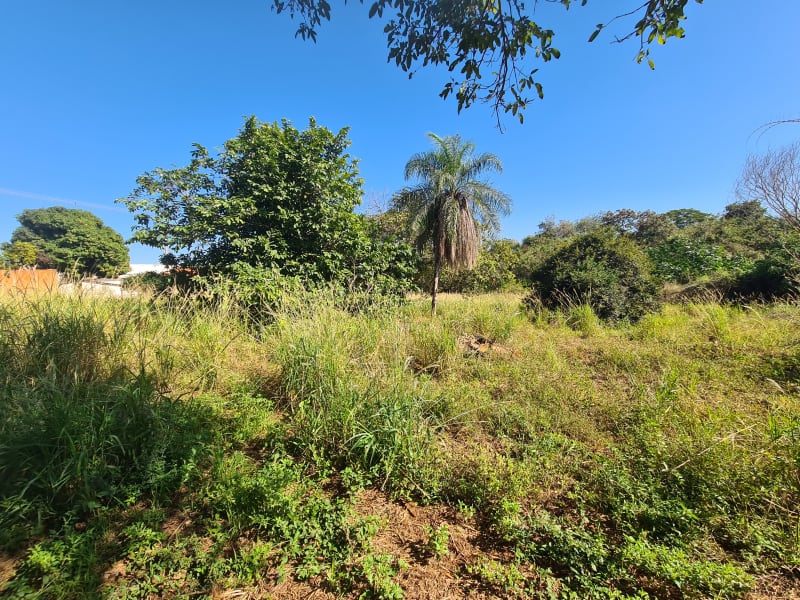 Avenida Adolpho Hecht,1781 - Vila das Fábricas