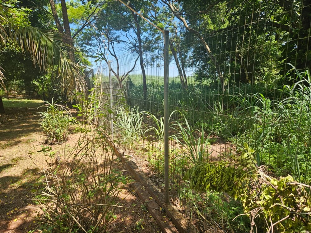 Avenida das Paineira,324 - Pousada das Garças